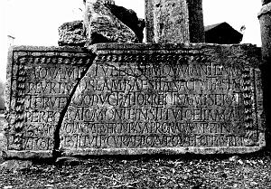 ALGERIE-RUINES ROMAINES DE LAMBESE (84)